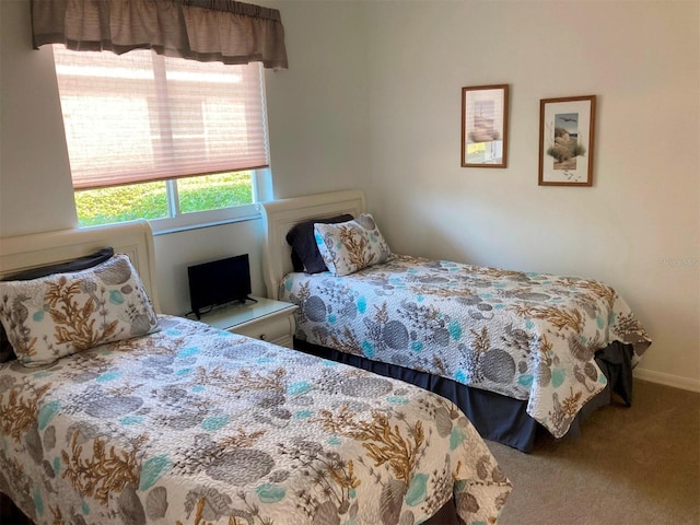 bedroom featuring carpet floors