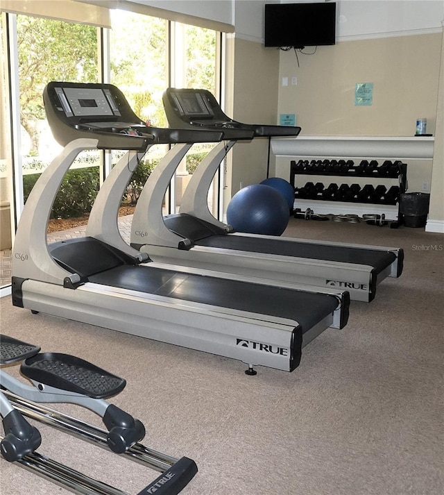 workout area with carpet floors