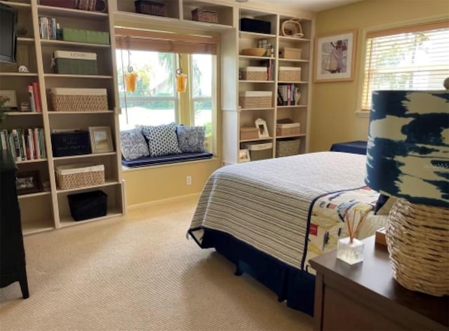 bedroom with carpet flooring