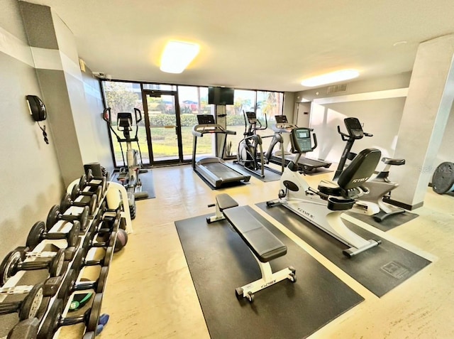 gym featuring a wall of windows and plenty of natural light