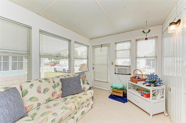 sunroom / solarium with cooling unit