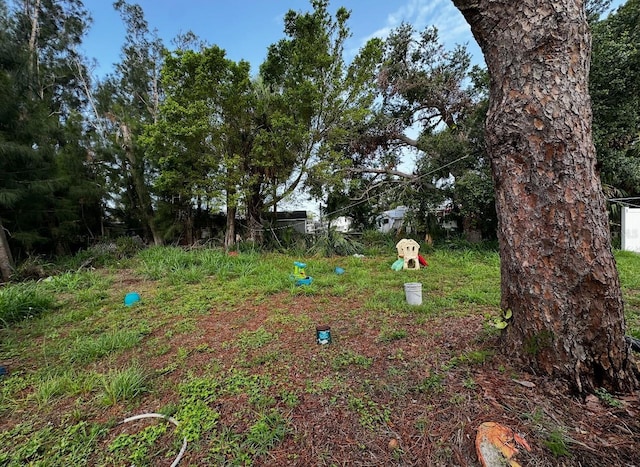 5630 3rd St W, Bradenton, FL 34207 - view of yard