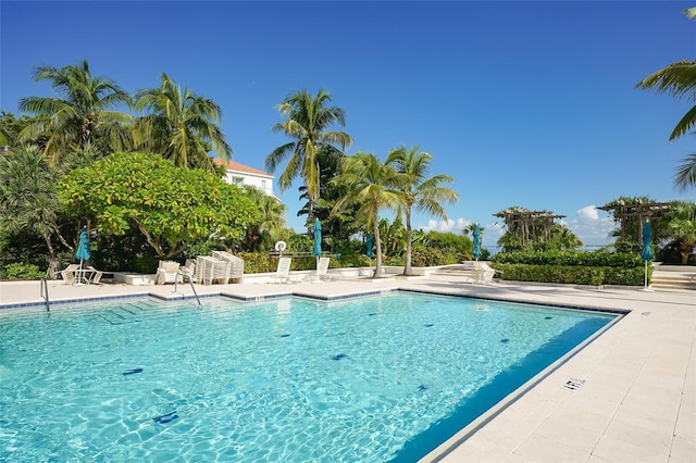 view of pool featuring a patio area