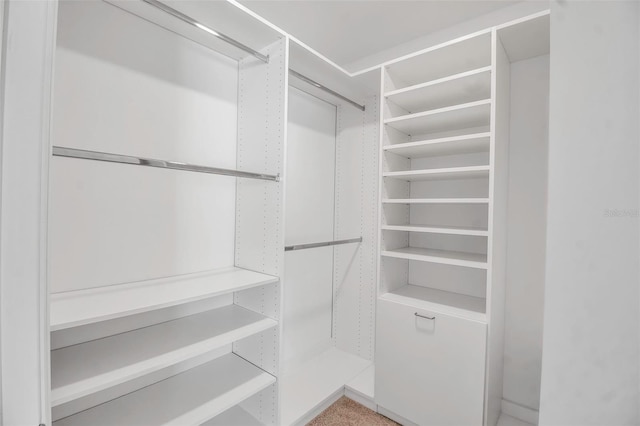 view of walk in closet