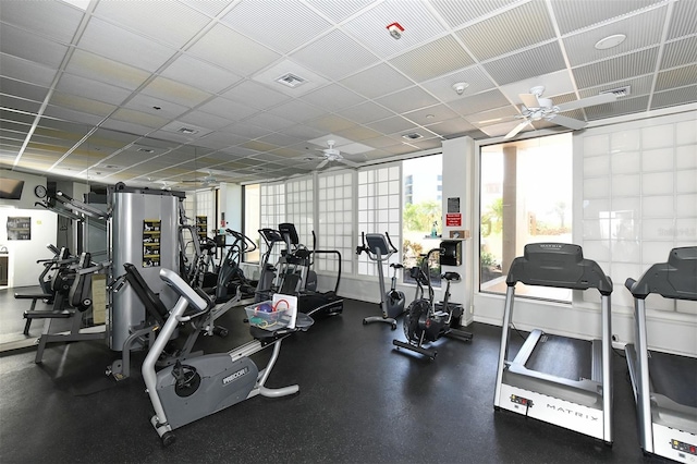 workout area featuring a paneled ceiling and ceiling fan