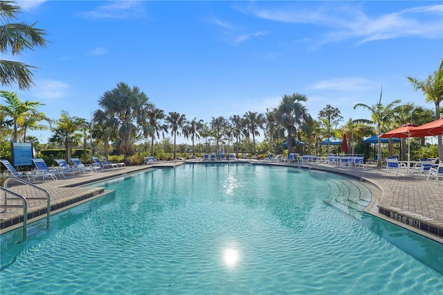 view of swimming pool with a patio area