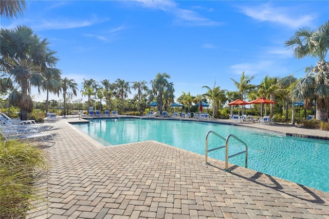 view of pool featuring a patio area