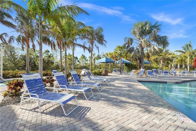 view of swimming pool with a patio