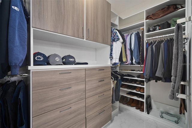 view of walk in closet