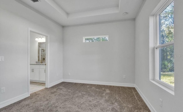 carpeted empty room featuring a raised ceiling