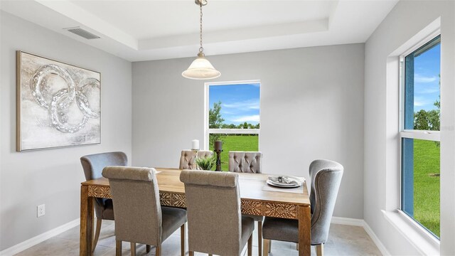 dining room with plenty of natural light and a raised ceiling