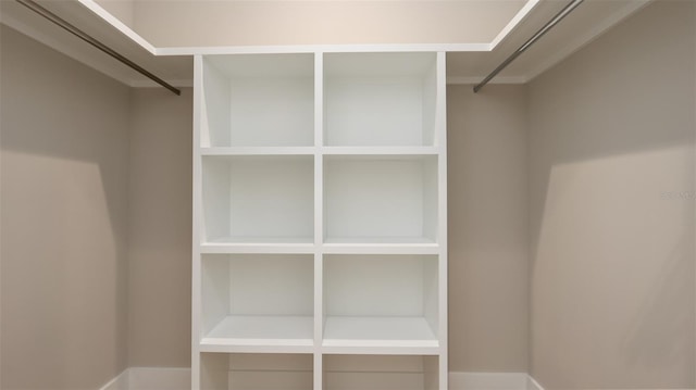 view of spacious closet