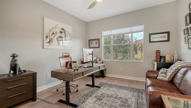 office area with ceiling fan and light hardwood / wood-style floors