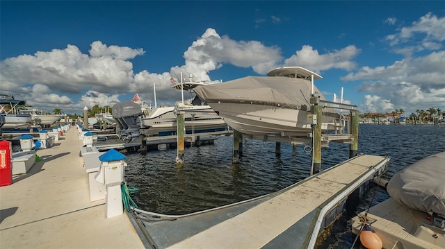 dock area with a water view