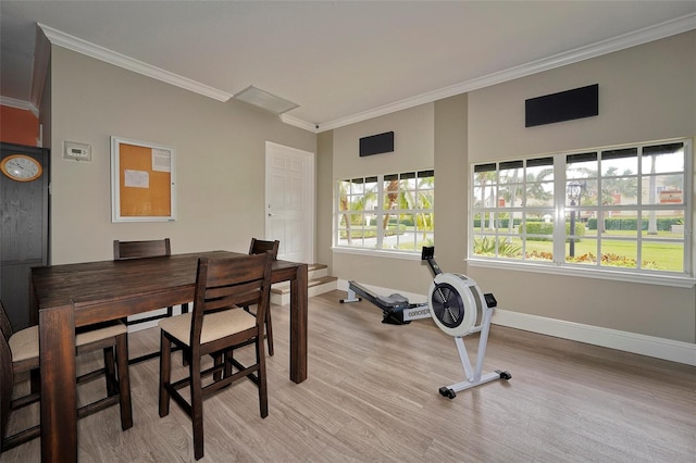 workout room featuring crown molding