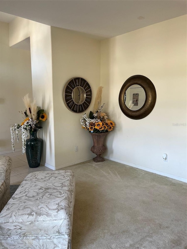 interior details with carpet floors