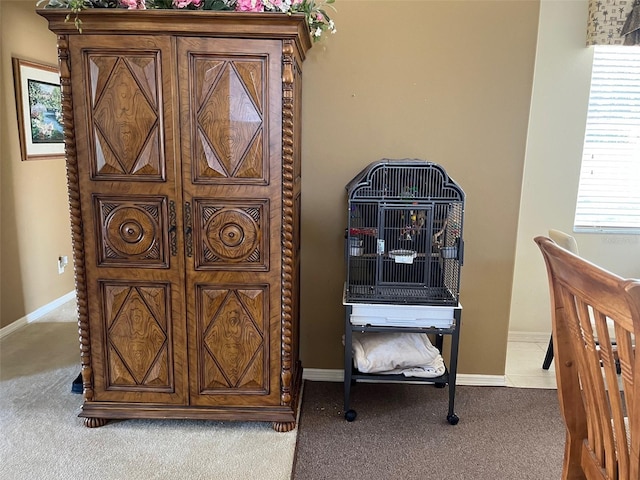 interior details with carpet floors