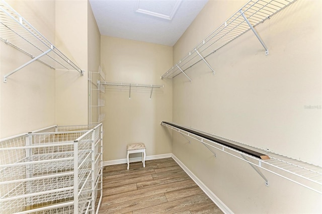 walk in closet featuring hardwood / wood-style flooring