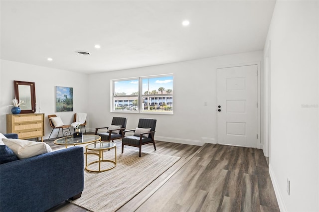 living room featuring wood-type flooring