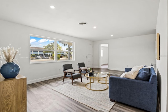 living room featuring wood-type flooring