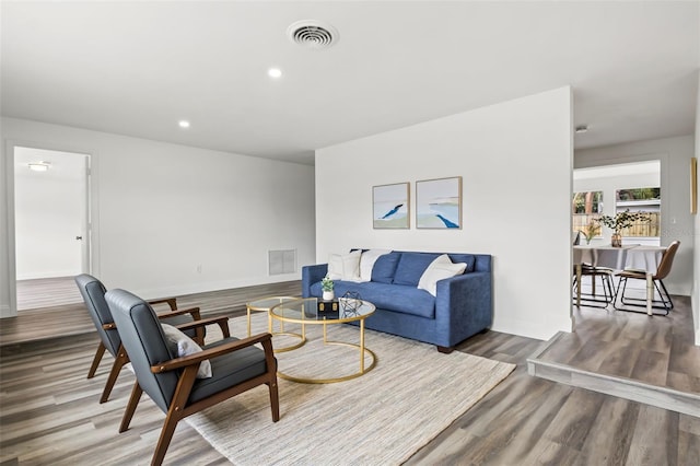 living room featuring wood-type flooring