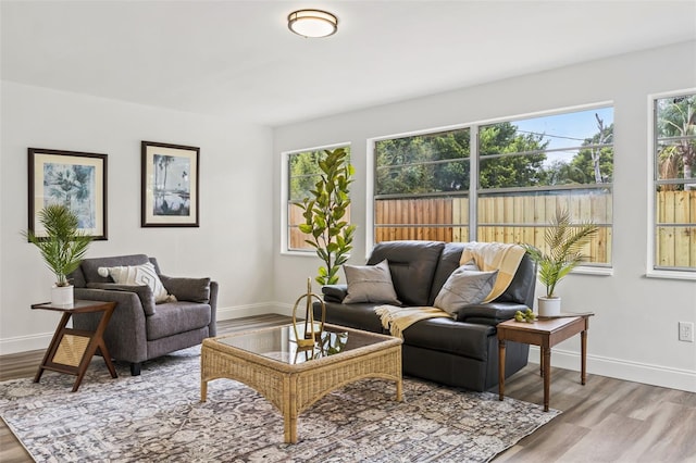 living room featuring light hardwood / wood-style floors