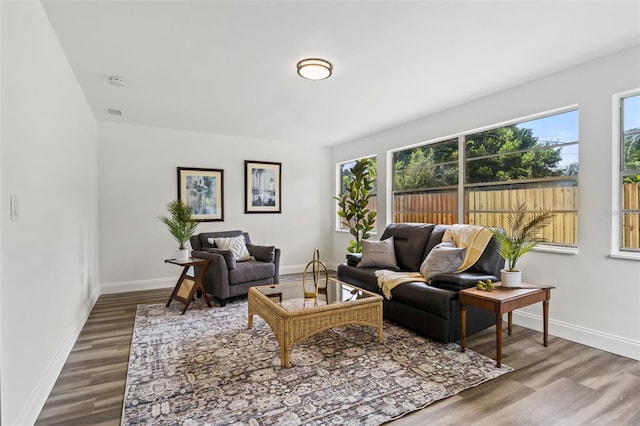 living room with hardwood / wood-style floors and plenty of natural light