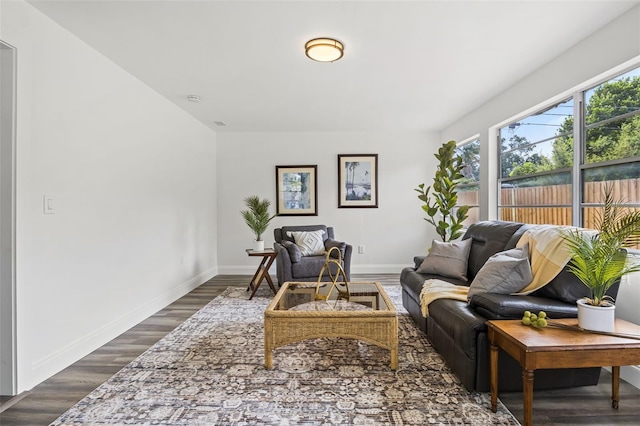 living room featuring dark hardwood / wood-style floors