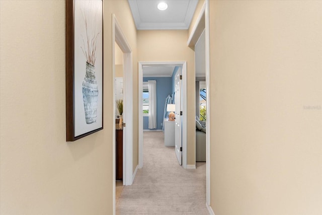 corridor featuring light colored carpet and ornamental molding