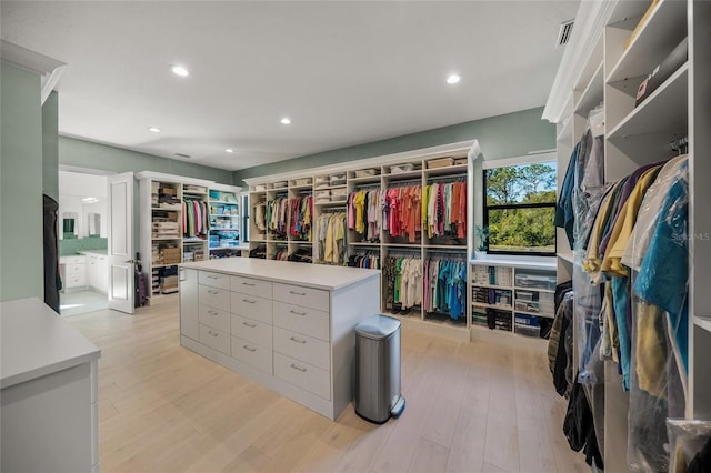 spacious closet with light hardwood / wood-style flooring