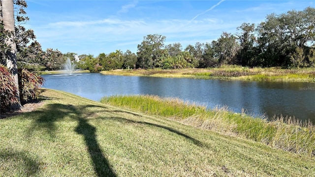 property view of water