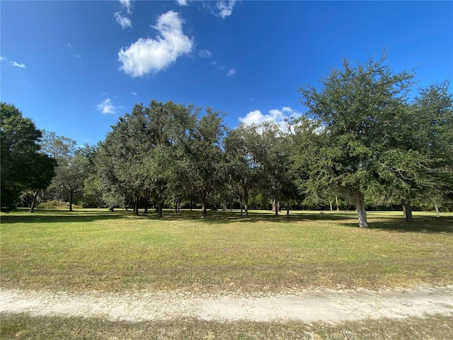 Listing photo 3 for TBD SE 79th St, Ocala FL 34480