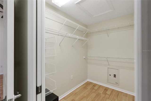 walk in closet featuring hardwood / wood-style flooring