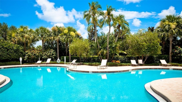 4046 Overture Cir Unit 4046, Bradenton, FL 34209 - community pool featuring a patio area and view of scattered trees