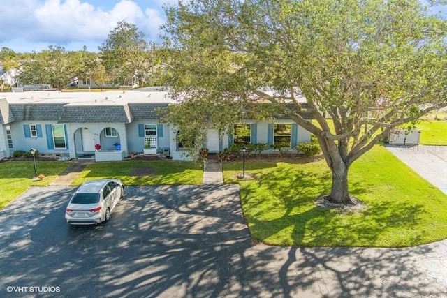 ranch-style house featuring a front yard