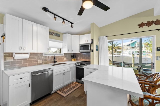 kitchen with white cabinets, appliances with stainless steel finishes, a wealth of natural light, and sink