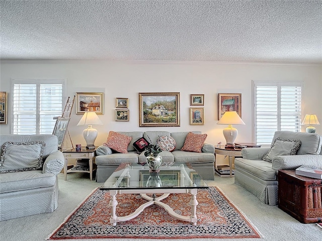 living room with carpet floors, a textured ceiling, and a wealth of natural light