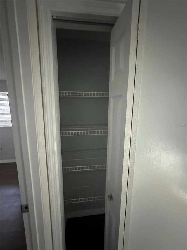 view of closet