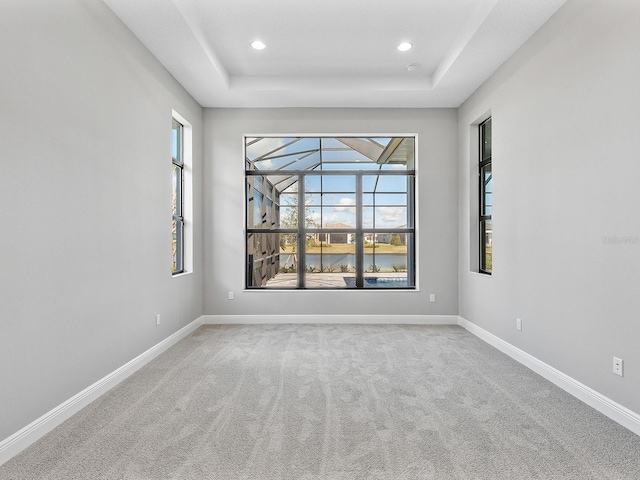 carpeted spare room with a tray ceiling and a healthy amount of sunlight