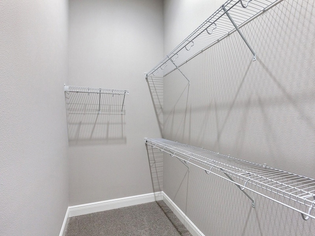 walk in closet featuring carpet flooring