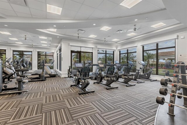 exercise room with ceiling fan, a drop ceiling, and carpet