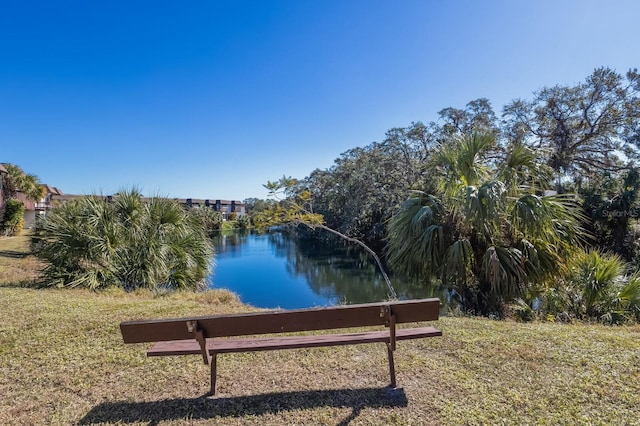 view of community with a water view