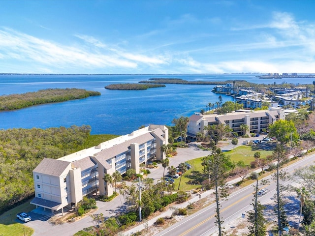 bird's eye view with a water view