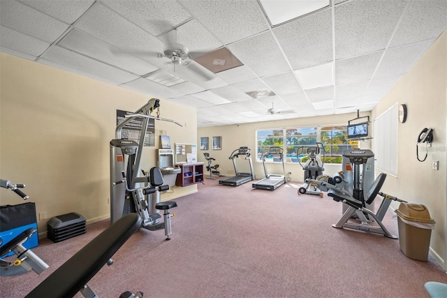 gym featuring carpet flooring, ceiling fan, and a drop ceiling