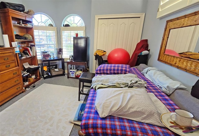 bedroom featuring carpet and a closet