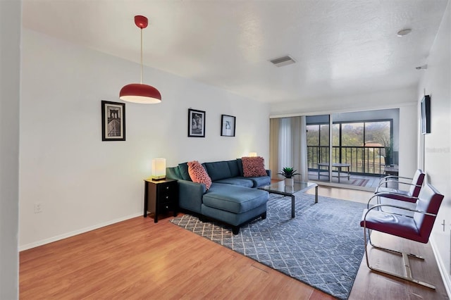 living room with wood-type flooring