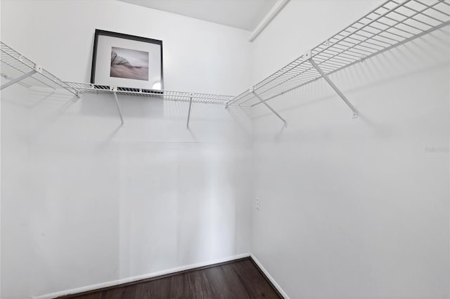 2124 N Tamiami Trl Unit 103, Sarasota, FL 34234 - spacious closet featuring wood finished floors