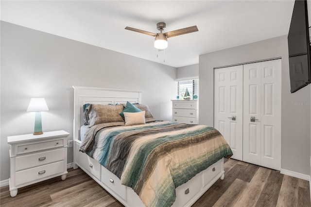 bedroom featuring ceiling fan, a closet, and dark hardwood / wood-style floors