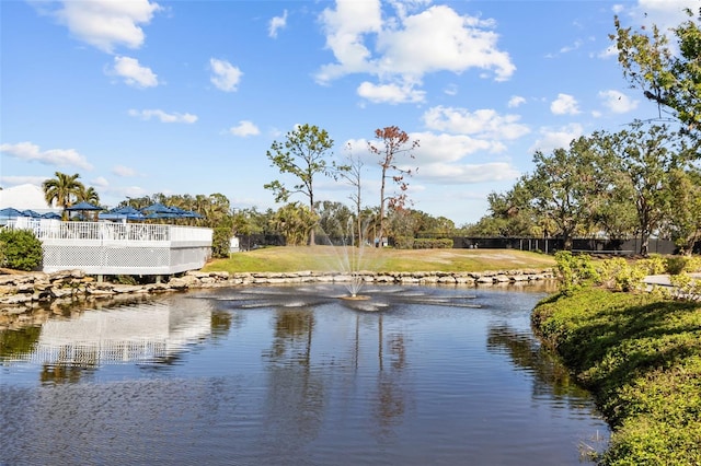 property view of water