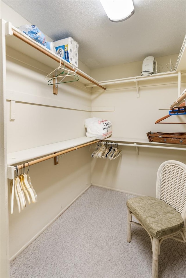 walk in closet with carpet floors